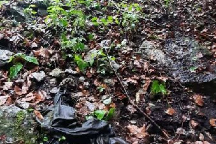 SITE WITH MORTAL REMAINS OF SEVERAL PERSONS FOUND IN VLAŠIĆ; PROSECUTOR OF PROSECUTOR’S OFFICE COORDINATES FIELD ACTIVITIES
