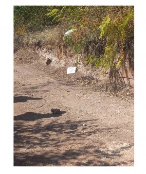 THE REMAINS OF ONE PERSON FOUND AT EXHUMATION IN LUKAVAC