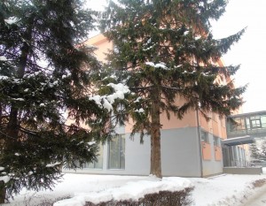 PODIGNUTA OPTUŽNICA PROTIV TRI OSOBE ZBOG KRIVIČNOG DJELA GENOCIDA