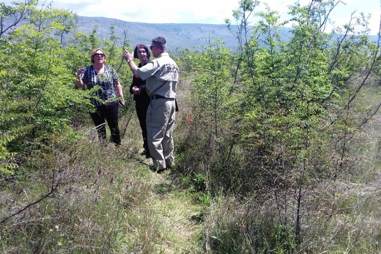 ACTING CHIEF PROSECUTOR VISITS THE SITE OF THE INVESTIGATION INTO THE AIRPLANE ACCIDENT IN MOSTAR