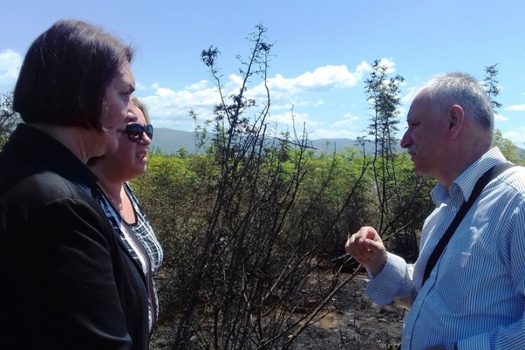 ACTING CHIEF PROSECUTOR VISITS THE SITE OF THE INVESTIGATION INTO THE AIRPLANE ACCIDENT IN MOSTAR
