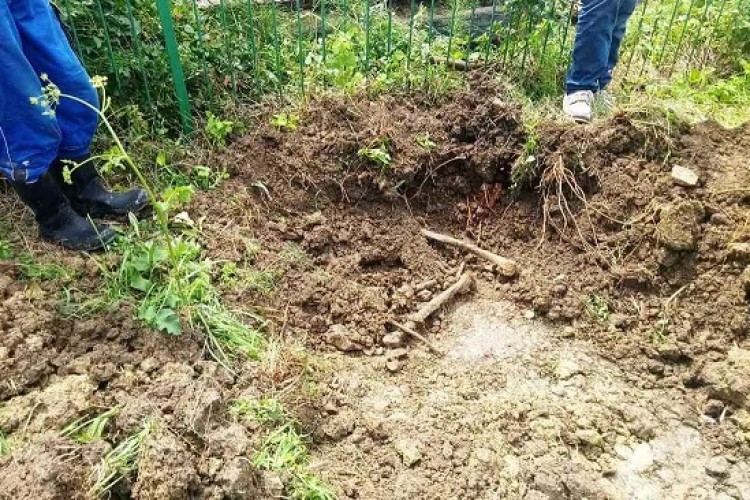 MORTAL REMAINS OF AT LEAST TWO PERSONS FOUND DURING EXHUMATION AT CAREVO POLJE IN JAJCE MUNICIPALITY