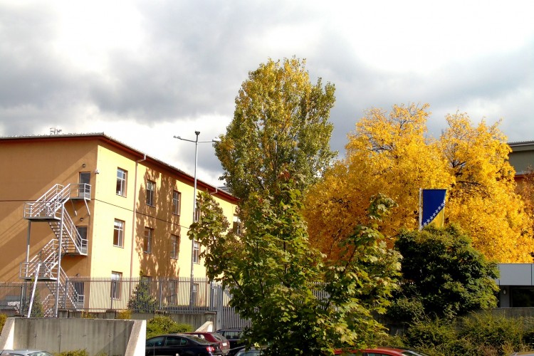 OPTUŽENI ZA NEOVLAŠTEN PROMET OPOJNIH DROGA SPORAZUMNO PRIZNAO KRIVNJU