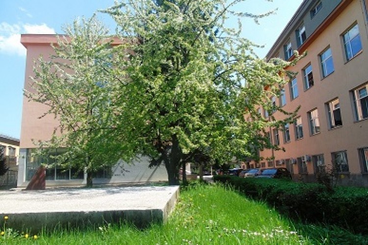 MOTION TO EXTEND DETENTION FOR FOREIGN CITIZENS SUSPECTED OF SMUGGLING OF MIGRANTS FILED