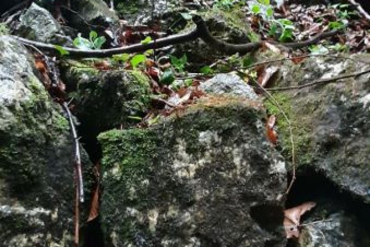 НА ВЛАШИЋУ ПРОНАЂЕНА ЛОКАЦИЈА СА ПОСМРТНИМ ОСТАЦИМА ВИШЕ ЛИЦА; ТУЖИЛАЦ ТУЖИЛАШТВА БиХ КООРДИНИСАО АКТИВНОСТИ НА ТЕРЕНУ