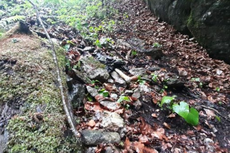 НА ВЛАШИЋУ ПРОНАЂЕНА ЛОКАЦИЈА СА ПОСМРТНИМ ОСТАЦИМА ВИШЕ ЛИЦА; ТУЖИЛАЦ ТУЖИЛАШТВА БиХ КООРДИНИСАО АКТИВНОСТИ НА ТЕРЕНУ