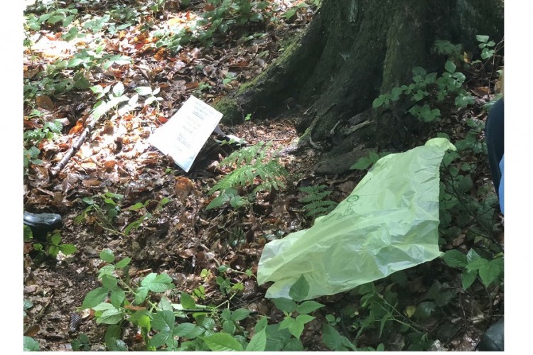 ЕКСХУМАЦИЈА НА ЛОКАЛИТЕТУ КАМЕНИЧКО БРДО У БРАТУНЦУ