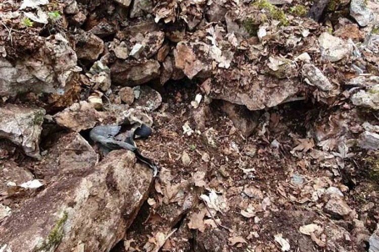 MORTAL REMAINS OF AT LEAST ONE PERSON FOUND IN KALINOVIK AREA