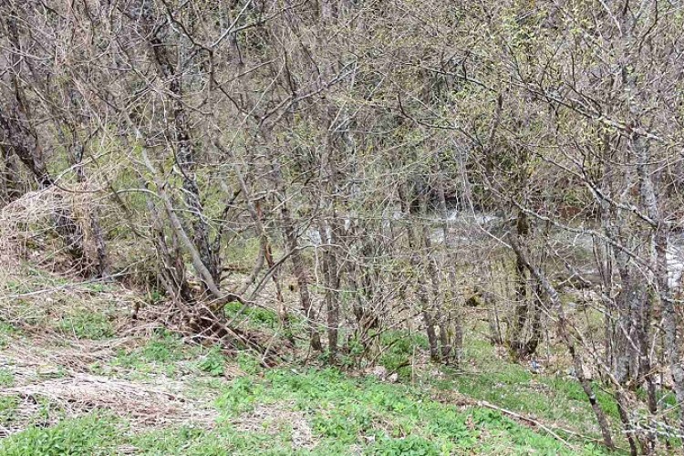 MORTAL REMAINS OF AT LEAST ONE PERSON FOUND IN KALINOVIK AREA