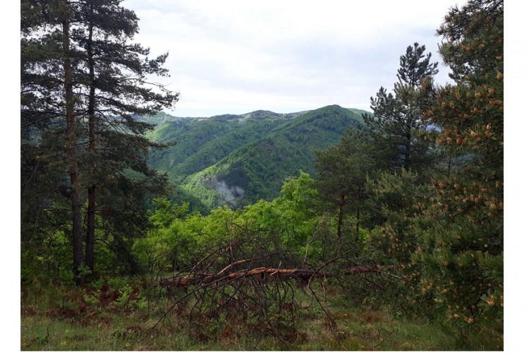 MORTAL REMAINS OF ONE PERSON FOUND DURING EXHUMATION AT POPOVO OSOJE SITE NEAR ZAVIDOVIĆI