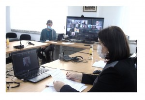 ONLINE MEETING OF TASK FORCE FOR FIGHT AGAINST TRAFFICKING IN HUMAN BEINGS AND ORGANIZED ILLEGAL IMMIGRATION HELD