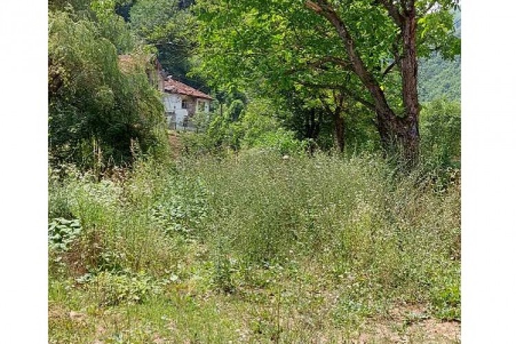 NA PODRUČJU SREBRENICE U TIJEKU JE EKSHUMACIJA KOJA SE PROVODI POD NADZOROM TUŽITELJSTVA BiH