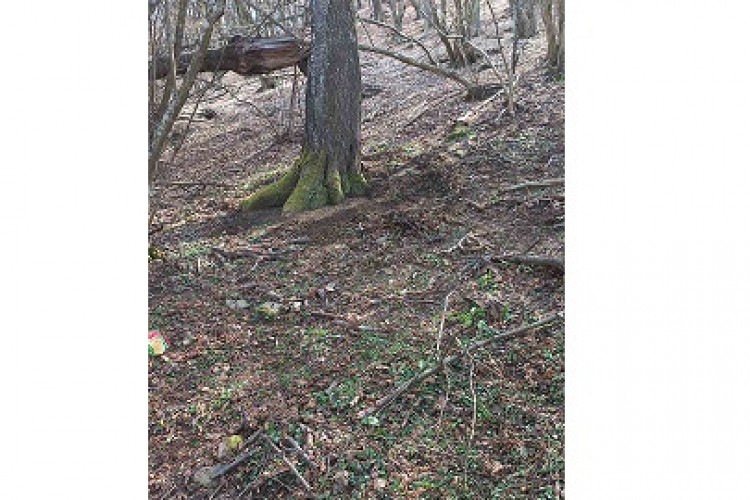 NA PODRUČJU BRATUNCA PROVEDEN PROCES EKSHUMACIJE I ASANACIJE TERENA