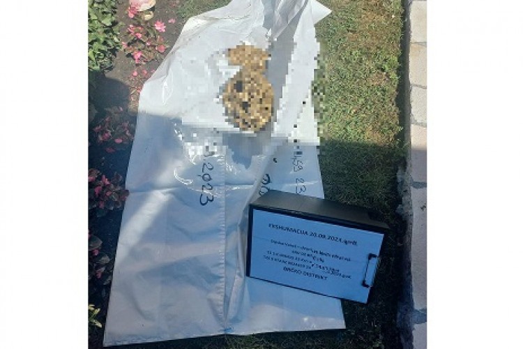 NA EKSUMACIJI U BRČKOM PRONAĐENI POSMRTNI OSTATCI JEDNE OSOBE