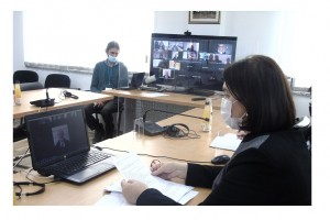 ONLINE MEETING OF TASK FORCE FOR FIGHT AGAINST TRAFFICKING IN HUMAN BEINGS AND ORGANIZED ILLEGAL IMMIGRATION HELD